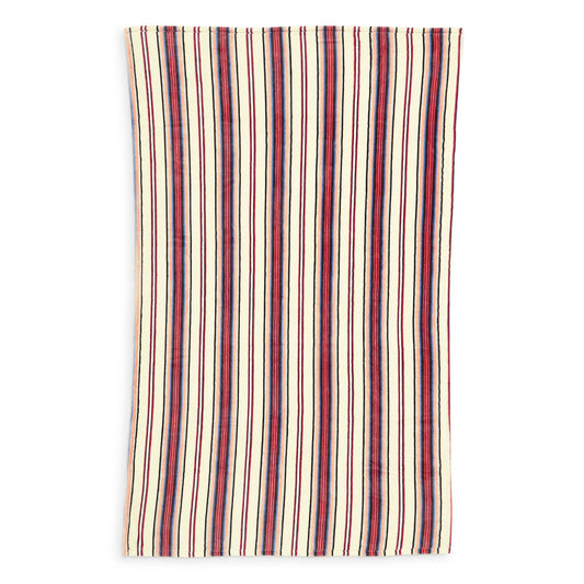 Plush Throw Blanket