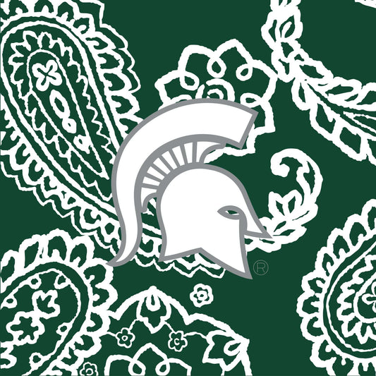 Collegiate Plush XL Throw Blanket